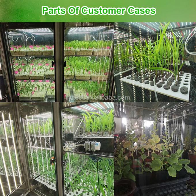LIYI 식물 생장상 인공 기후 종자 발아 기계 식물 성장 박스 인큐베이터