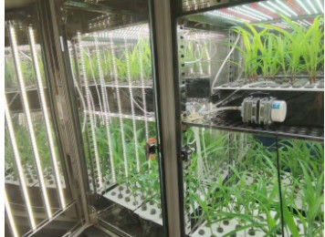 LIYI 식물 성장 챔버 인공 기후 종자 발아 기계 기후 챔버 챔버 환경