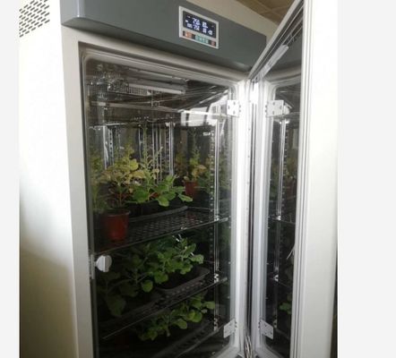 LIYI 식물 성장 챔버 인공 기후 종자 발아 기계 식물 성장 상자 인큐베이터
